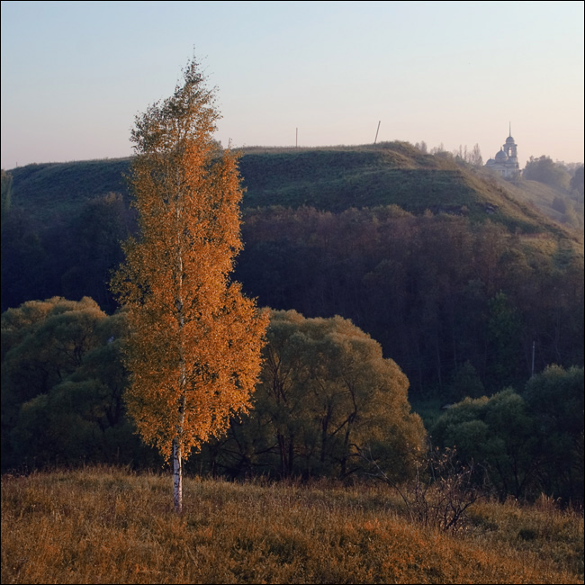 Березовая старица пермский край карта