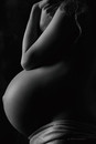 Profile of the pregnant body. Art S