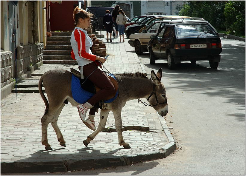 Человек на ослике картинки