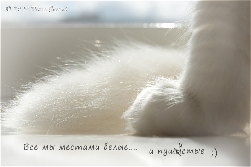 Мягка и пушистая попка страстной Cathy S